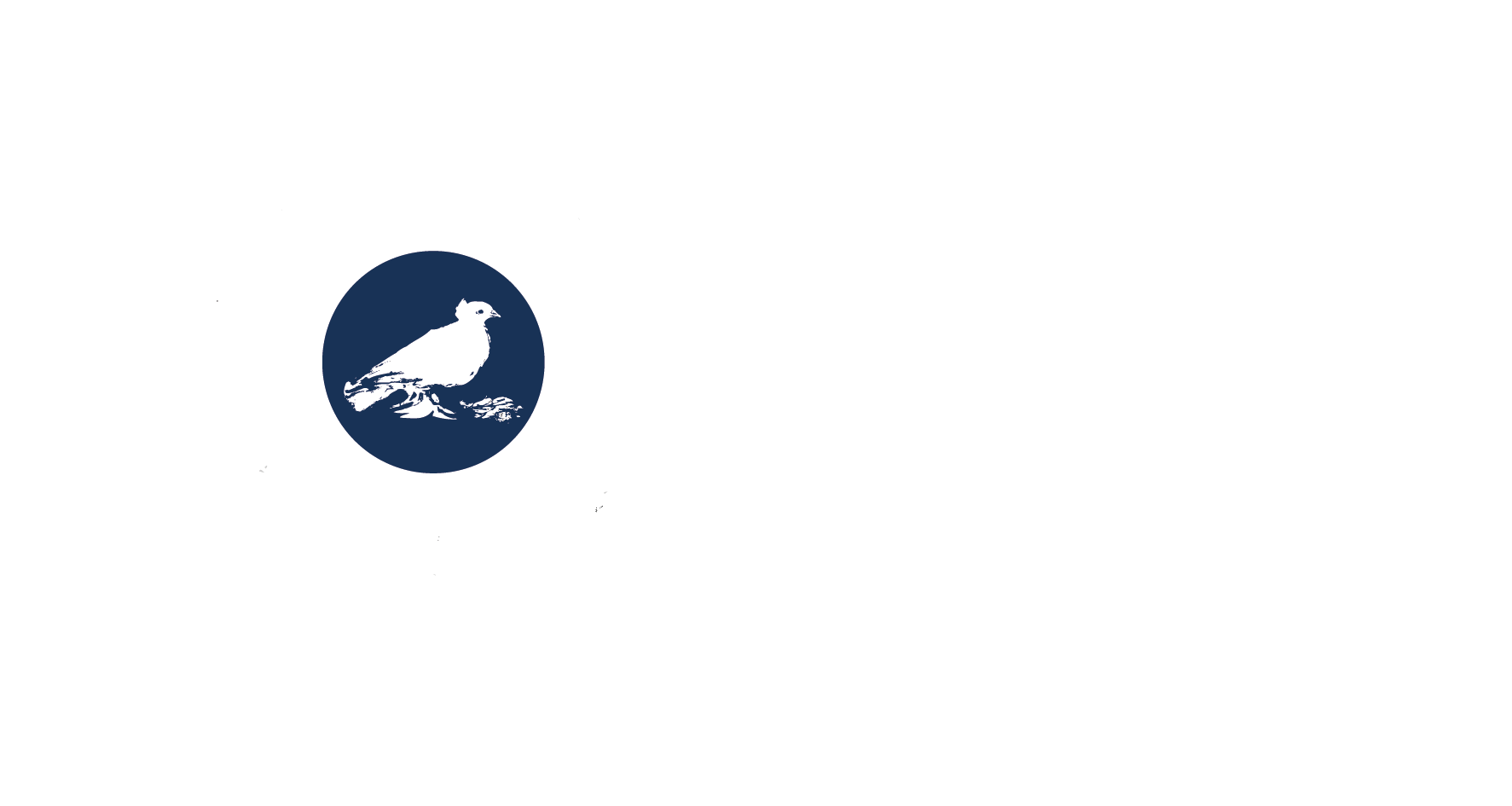 Logo Universidad